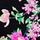 Black Floral