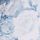 Rose Toile