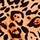 Natural Leopard