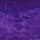 Purple Shock