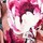 Vintage Rose Floral