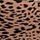 Leopard Love