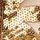 Gold Embroidered