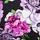 Pretty Floral