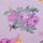 Purple Garden Butterflies Print