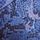 Blue Snake