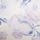 Blue Blooming Toile Print