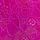 Very Fuchsia