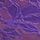 Bright Violet Purple