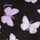 Pure Black Butterfly