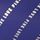 Indigo Blue Mini Logo