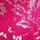 Wicked Rose Pink