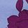 Dusty Periwinkle Floral