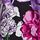 Black Floral
