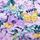 Purple Garden Butterflies Print