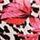 Spotted Berry Floral White