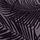Shadowy Palm