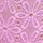 Showgirl Purple