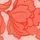 Peach Aura Drawn Floral