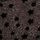 Black Star