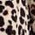 Spotty Leopard