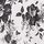 B&W Toile
