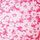 Capri Pink Daisy