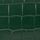 Emerald Green Croc