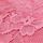 Dahlia Pink