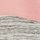 Damsel Pink Hte White Tiger Coloblock