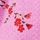 Pink Bloom
