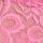 Dahlia Pink