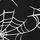Pure Black Spider Web