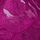 Raspberry Cooler Purple