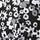 Pure Black Daisy