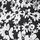 Black & White Floral