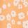 Orange Floral
