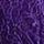 Brilliant Purple