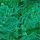 Lucky Clover Green