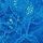 Enamel Blue