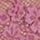 Bordeaux Pink