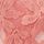 French Rose Pink