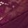 Burgundy Purple