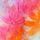 Capri Pink Multicolored Gradient Orange