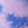 Purple Petal & Blue Tie Dye