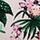 Paradise Orchid