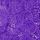Bright Violet Purple
