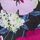 Pure Black Floral Print