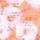 Coral Cream Floral Orange