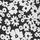 Floral Black and White